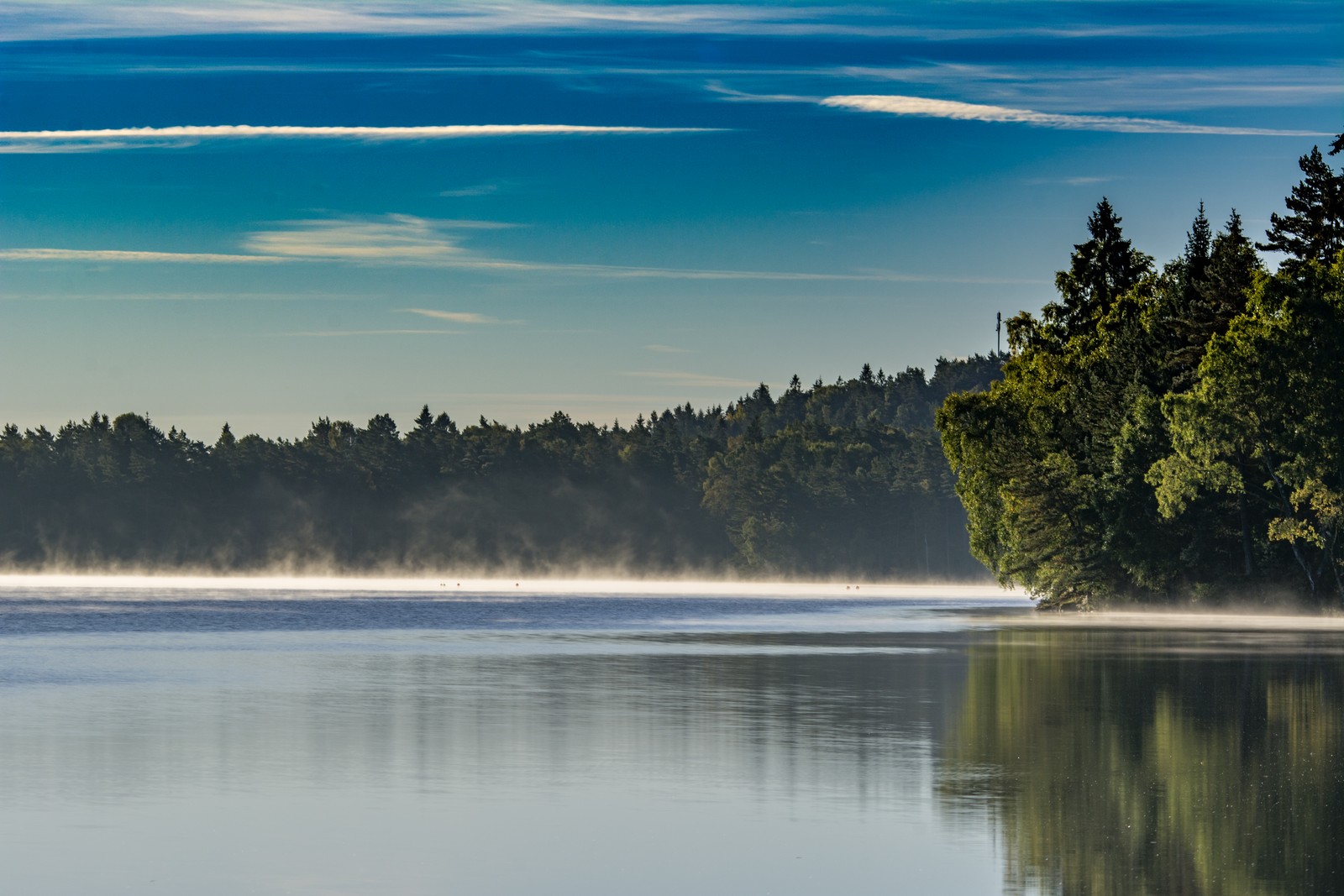 Trees are in the background (natural landscape, nature, reflection, water resources, blue)