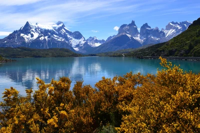 национальный парк торрес дель пайне, torres del paine national park, гора, природа, дикая природа