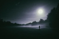 pleine lune, lune, nature, obscurité, atmosphère