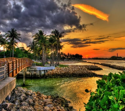 beach, coast, palms, sea, sunset