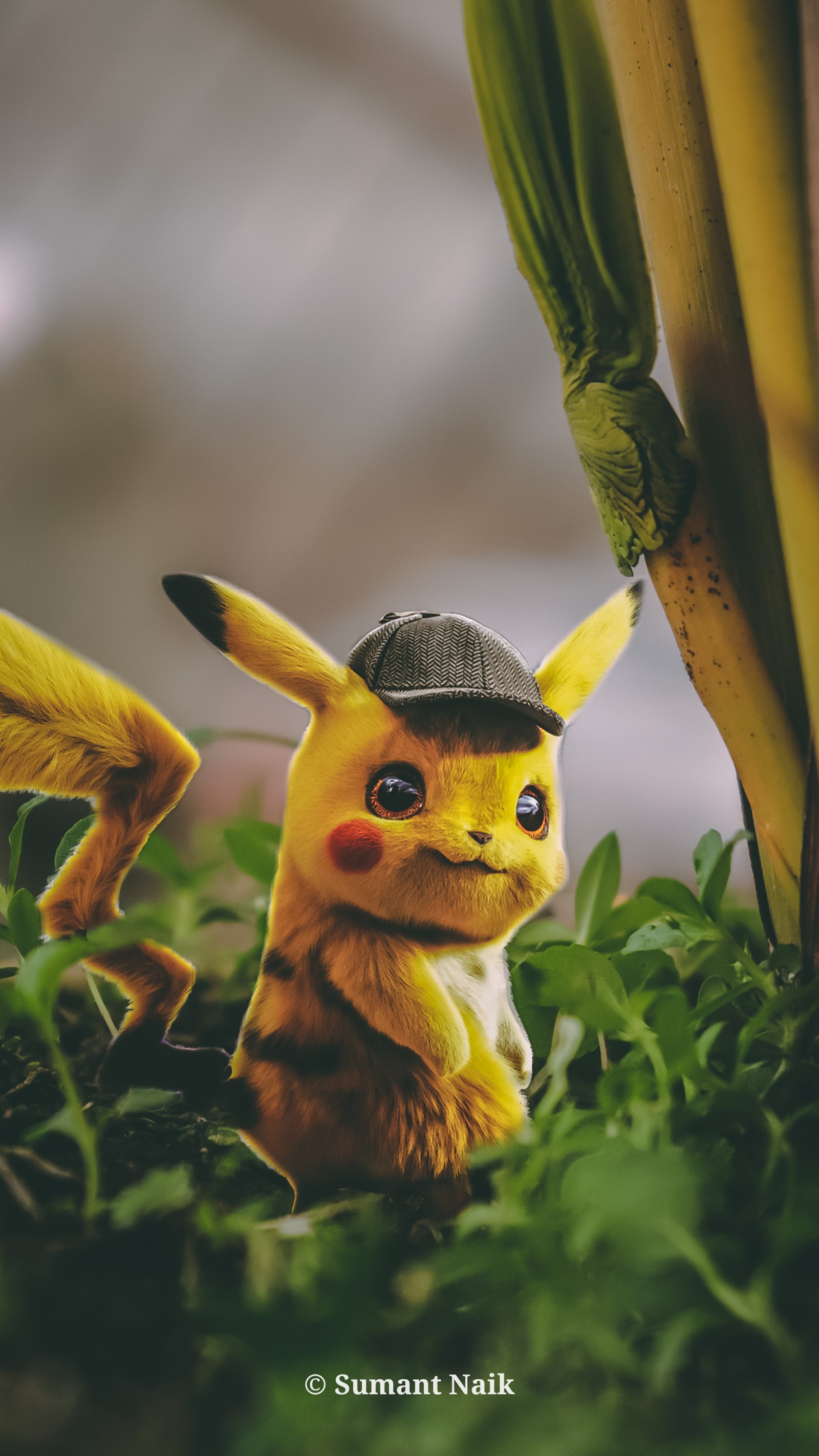 Скачать обои для instagram, новый, океан, попугай, pikachu бесплатно