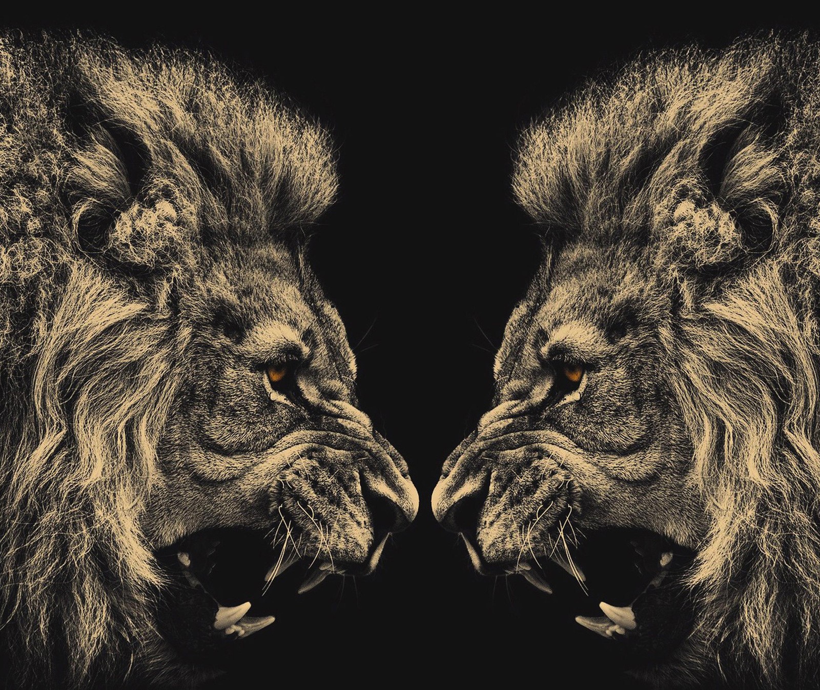 animal, lion, painting, savage, wild wallpaper