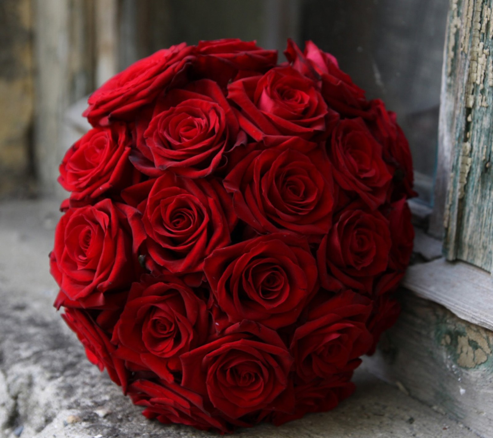 Nahaufnahme eines straußes roter rosen auf einer fensterbank (blume, nett, rot, rose)