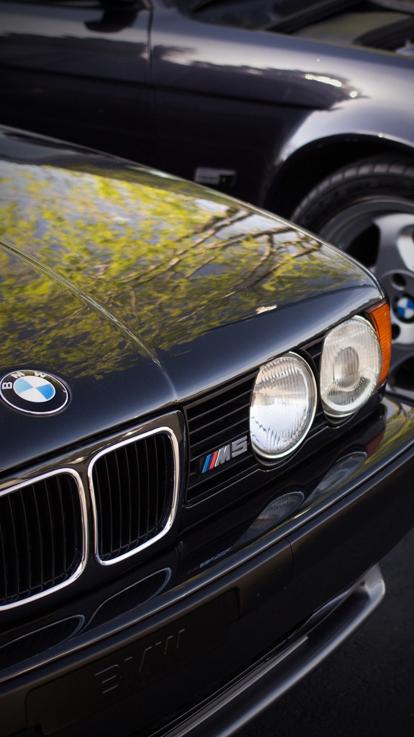 There are two cars parked next to each other in a parking lot (auto, bimmer, bmw, car, m5)