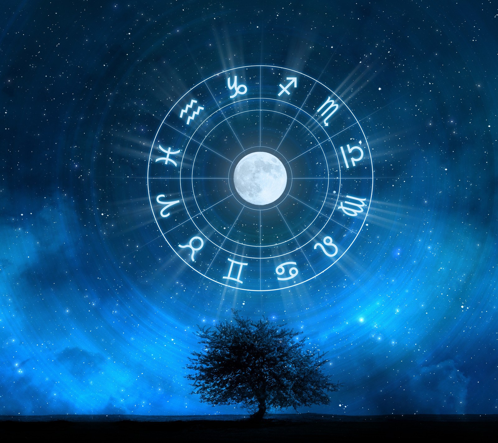 Zodiac signs in the sky with a tree in the foreground (astrology, tree, zodiac)