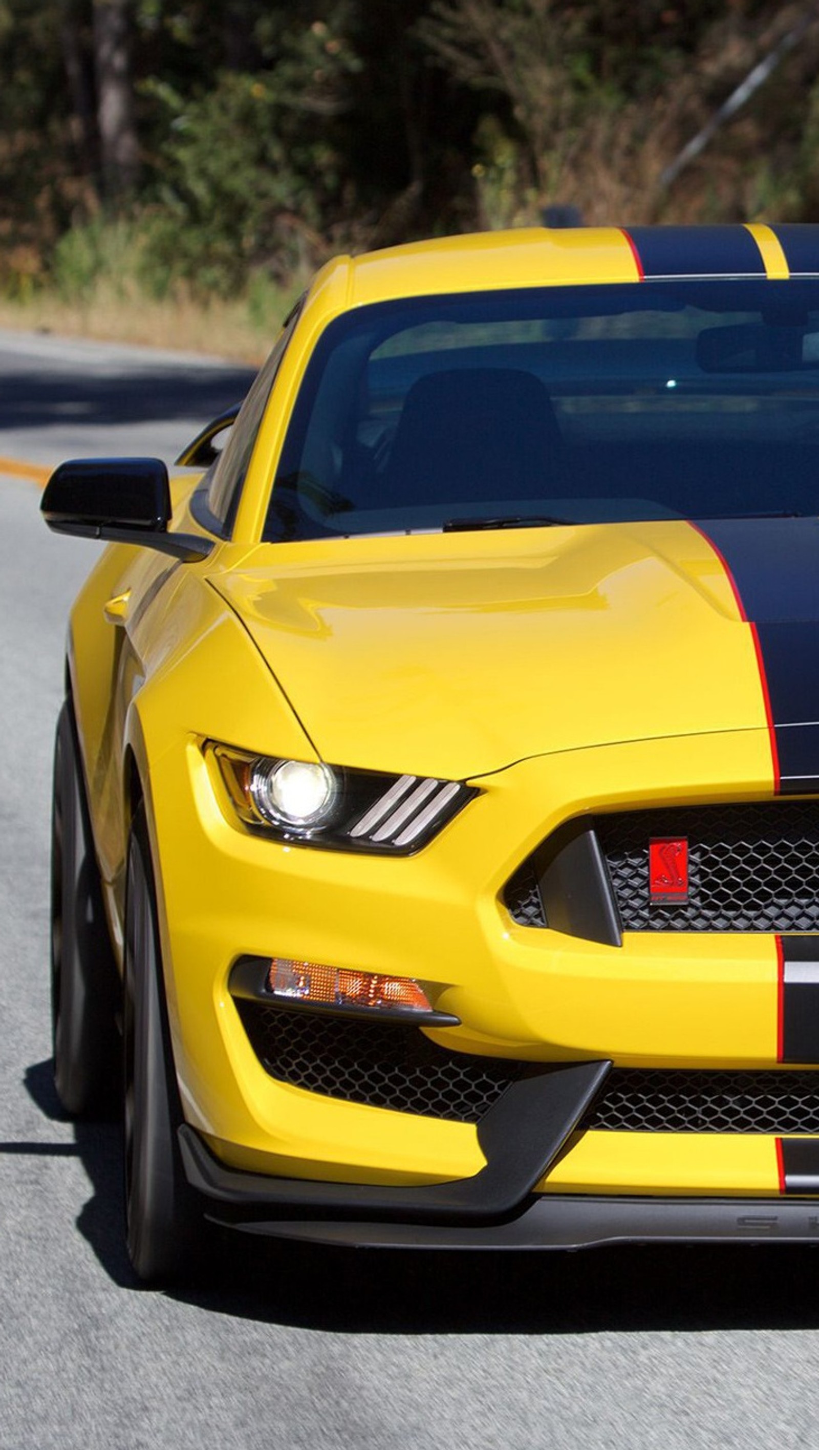 A close up of a yellow mustang driving down a road (ford, mustang, shellby)