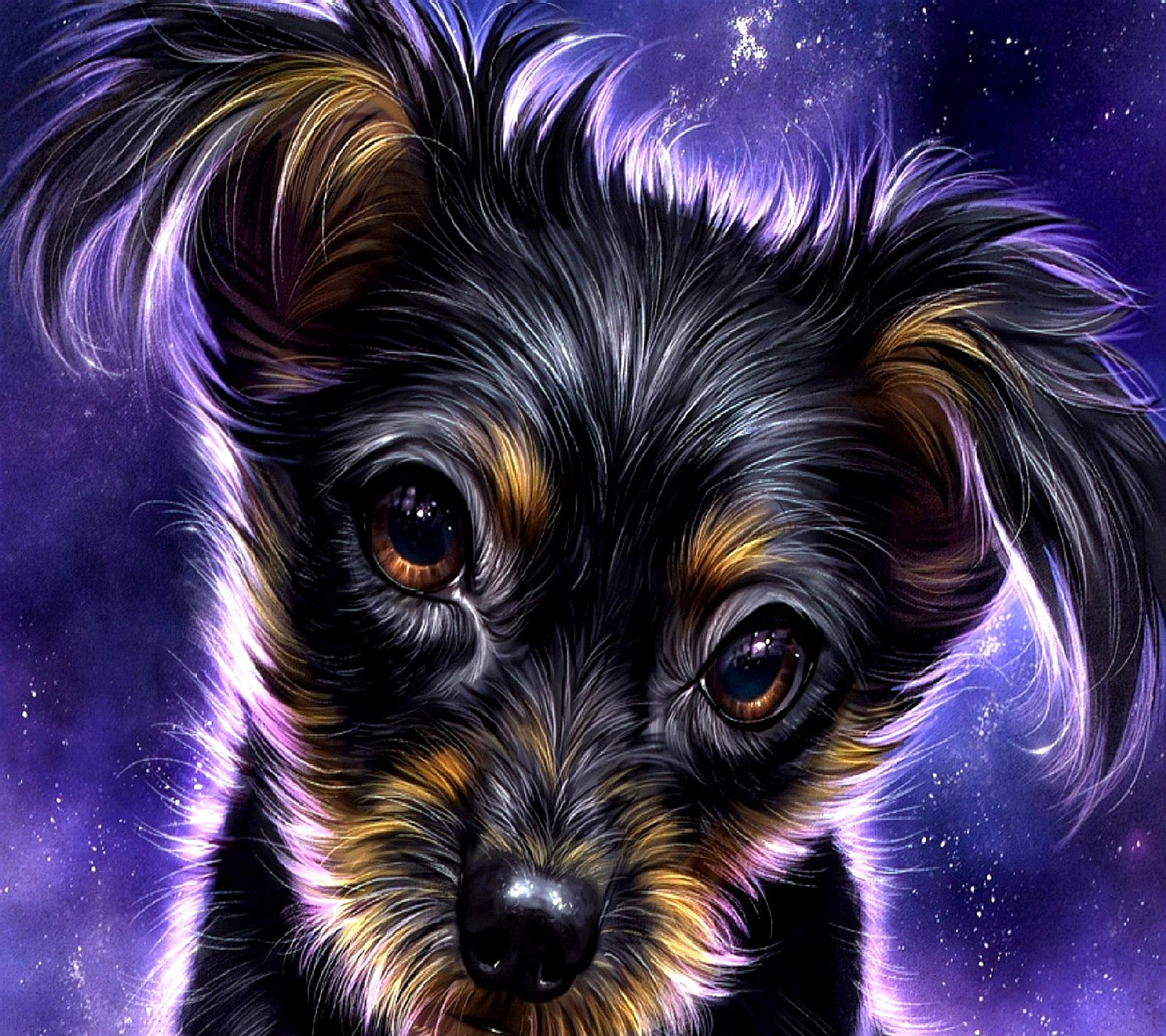 dog Download Wallpaper