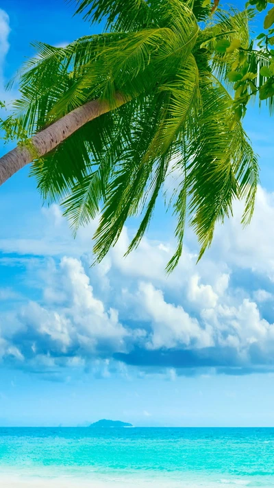 Bonheur tropical sur la plage avec des palmiers et un ciel dégagé