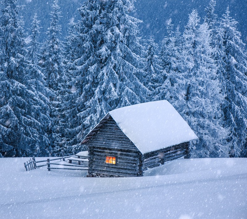 Снежная хижина в лесу с огнем (дом, снежный, зима)