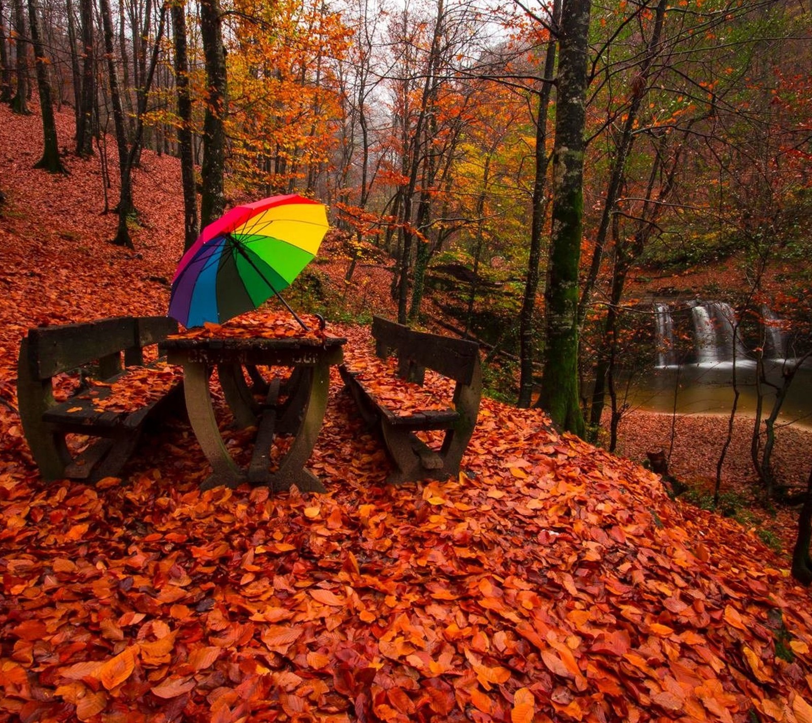 Um guarda-chuva colorido em cima de uma mesa de piquenique na floresta. (outono, banco, natureza, cachoeiras)