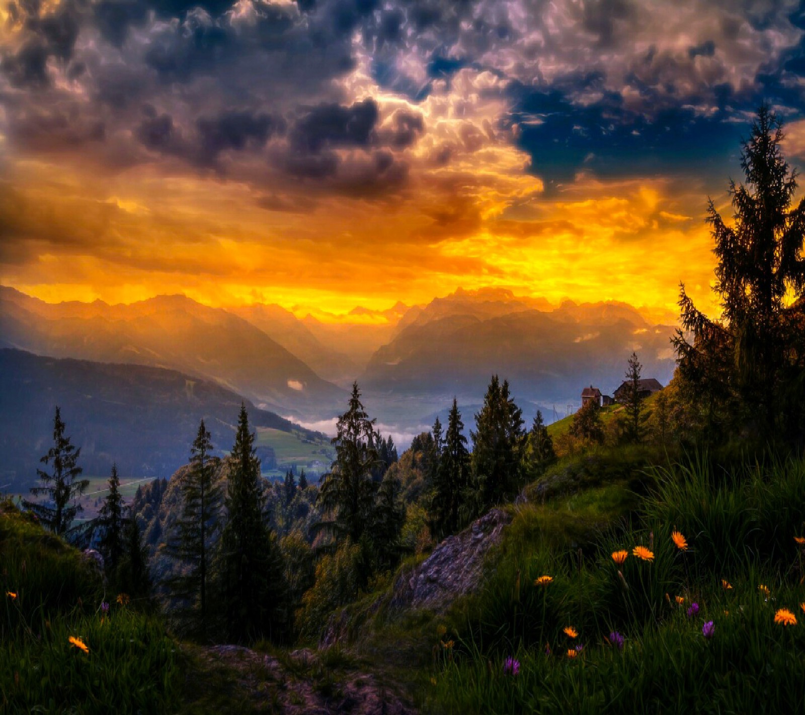 A view of a mountain range with a sunset in the distance (beautiful, flowers, garden, nature)