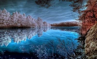 Reflets d'hiver : arbres givrés et lac serein