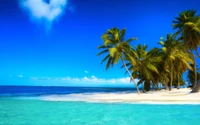 Tropisches Strandparadies mit Palmen und klarem blauen Wasser