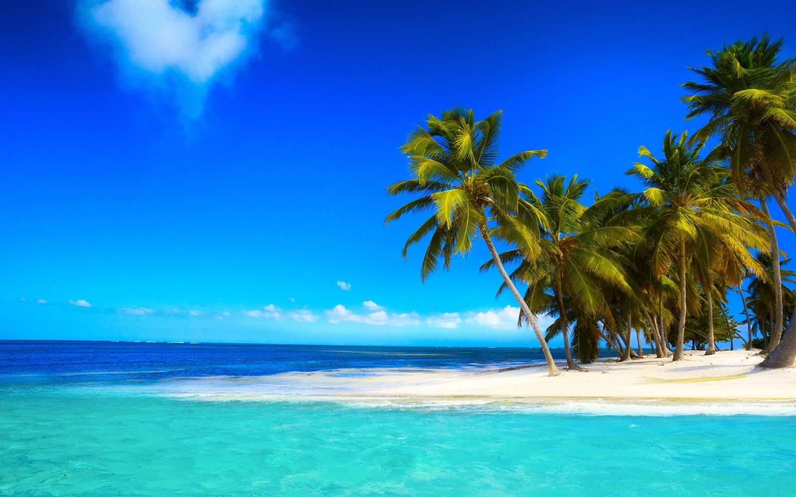 Plage avec des palmiers et un nuage en forme de cœur dans le ciel (plage, mer, rivage, tropiques, plan deau)