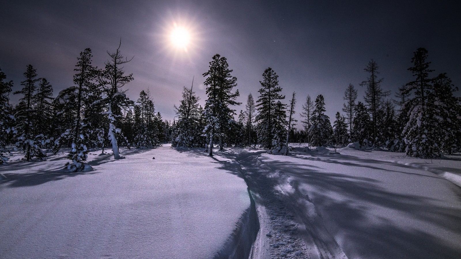 Vista aérea de um campo nevado com árvores e uma lua cheia (inverno, natureza, árvore, atmosfera, dia)