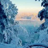 Arbres givrés et eaux glacées sous un ciel d'hiver