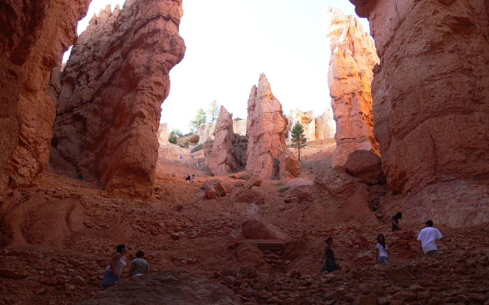 Des gens sont assis dans un canyon avec des rochers et des arbres (canyon, formation, roche, géologie, wadi)