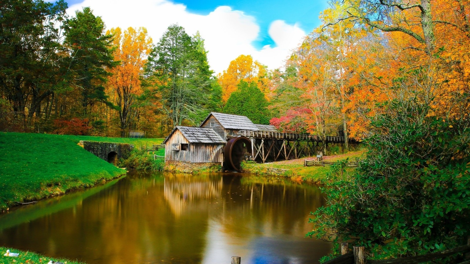 Eine holzbrücke über einen fluss in einem wald mit bäumen (landschaftsmalerei, natur, reflexion, blatt, baum)