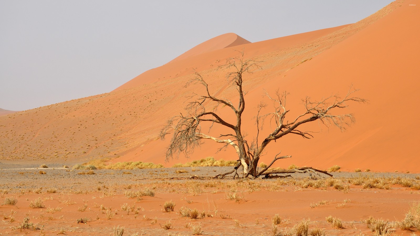 sossusvlei, desert, dune, sand, aeolian landform wallpaper