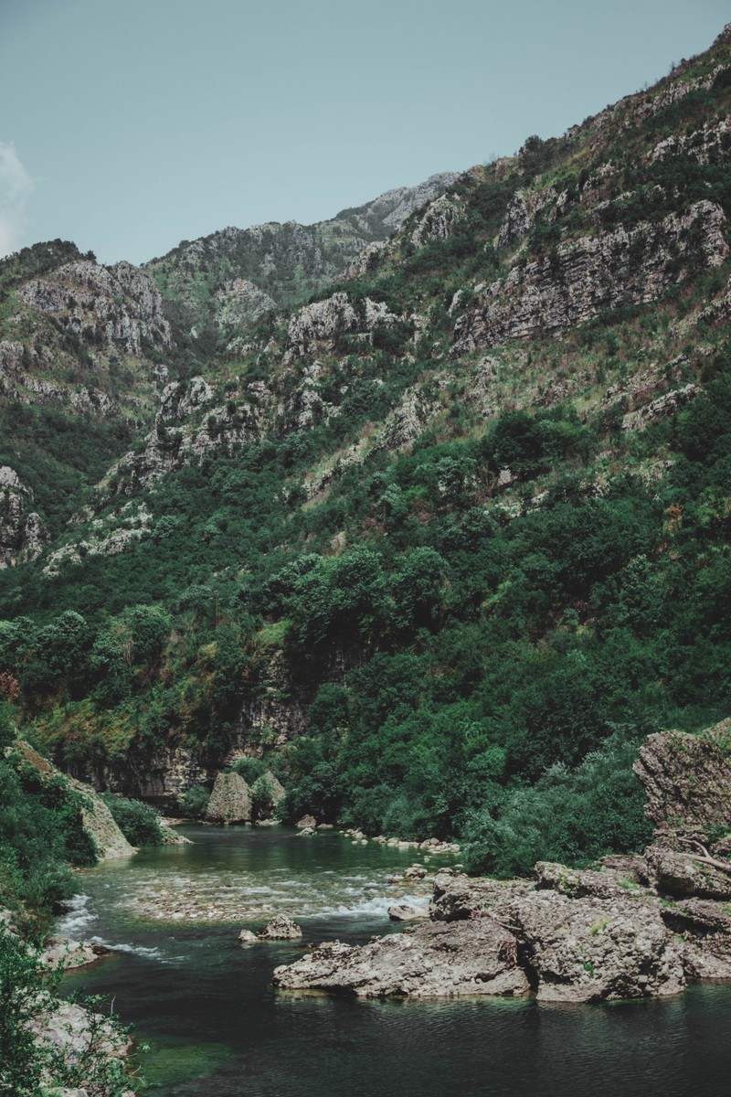 Река течет через долину с горой на заднем плане (вода, природа, дикая природа, заповедник, горные образования)