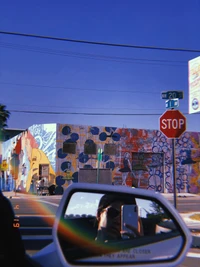 miami, cars, window, automotive mirror, glass