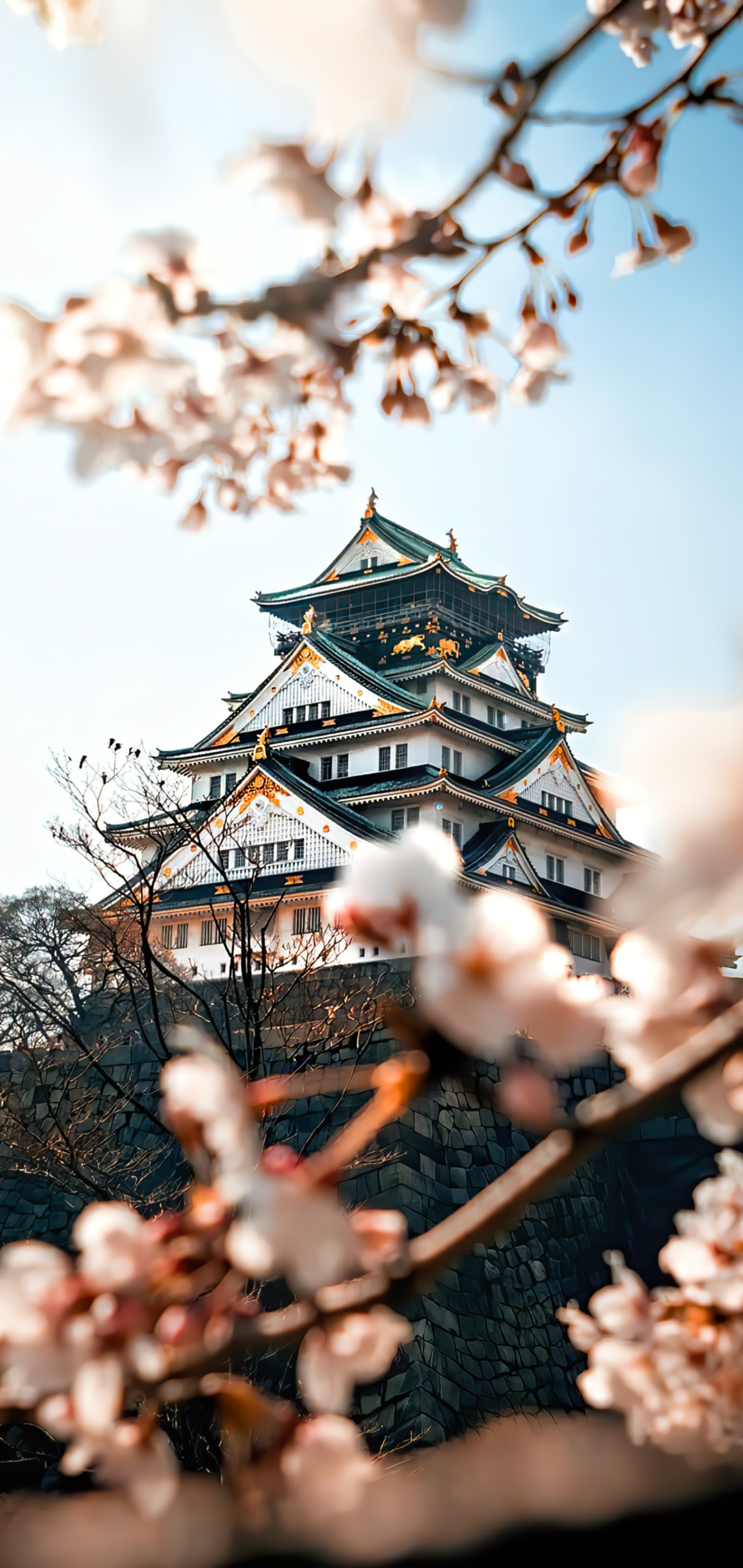 Ein großes gebäude mit einem turm darauf (osaka schloss, kirschblüte, burg, park, blume)