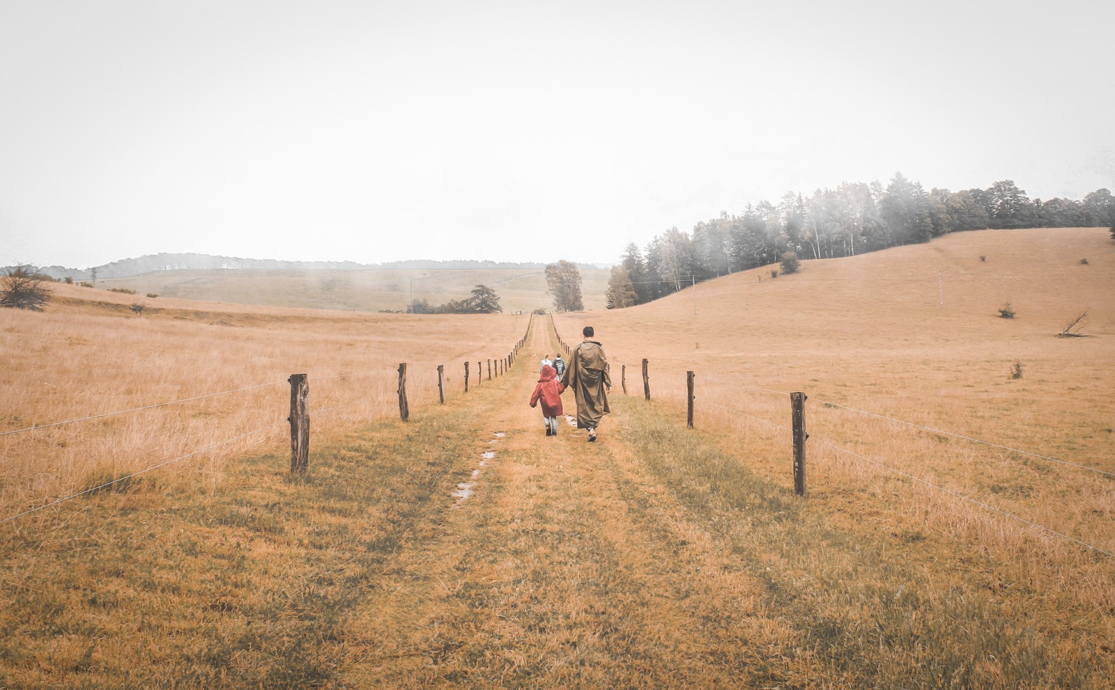 Duas pessoas caminhando por uma estrada de terra em um campo (família das gramíneas, estepe, estrada de terra, ambiente natural, árvore)