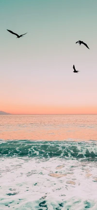 Atardecer sereno sobre aguas tranquilas con aves voladoras