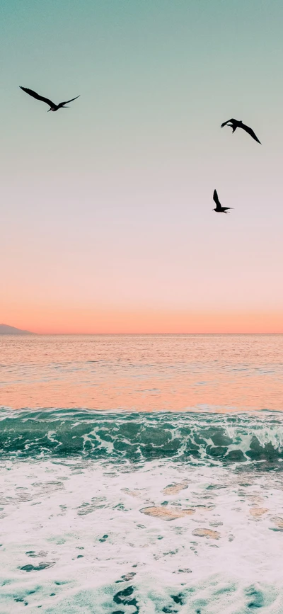 Serene Sunset Over Tranquil Waters with Flying Birds