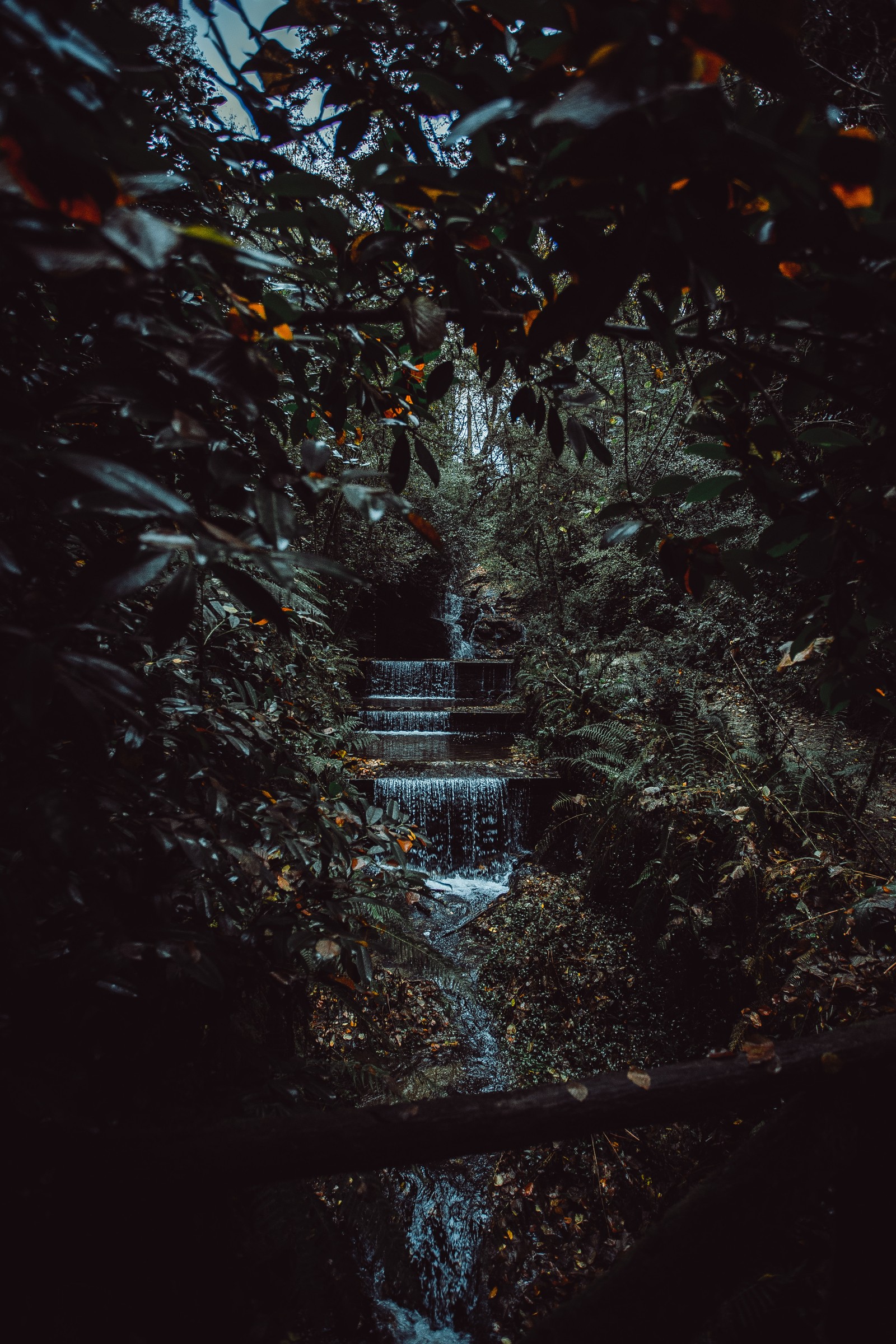 Es gibt einen kleinen wasserfall inmitten eines waldes (naturumgebung, schwarz, blatt, natur, nacht)