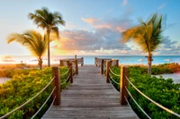 Tropical Beachfront Resort Boardwalk at Sunrise