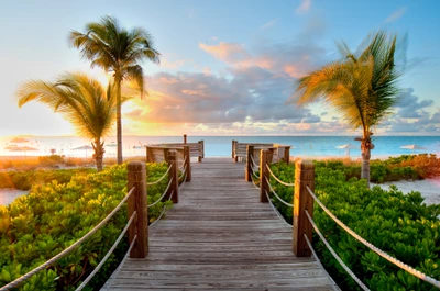 Complexe tropical en bord de mer, promenade au lever du soleil