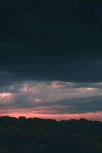 sonnenuntergang, wolke, horizont, blau, atmosphäre