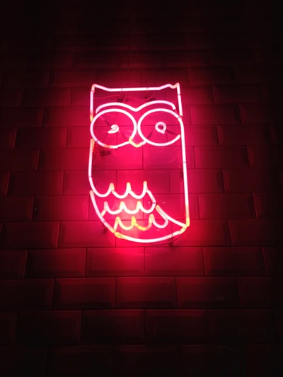 Neon Owl Art with Electric Blue and Orange Lighting