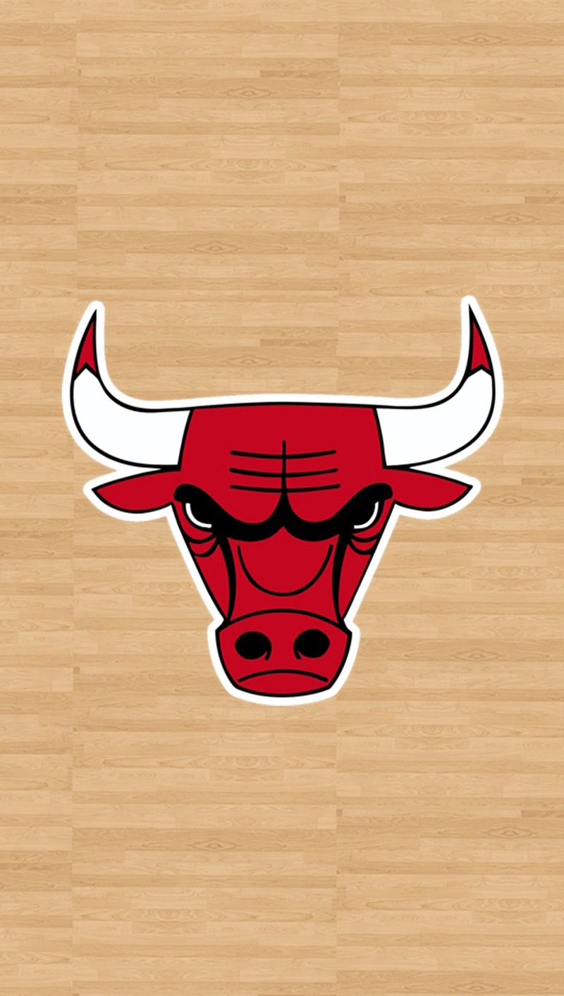 Логотип chicago bulls на деревянном полу с баскетбольной площадкой на заднем плане (бык, красный, ред булл, red bull)