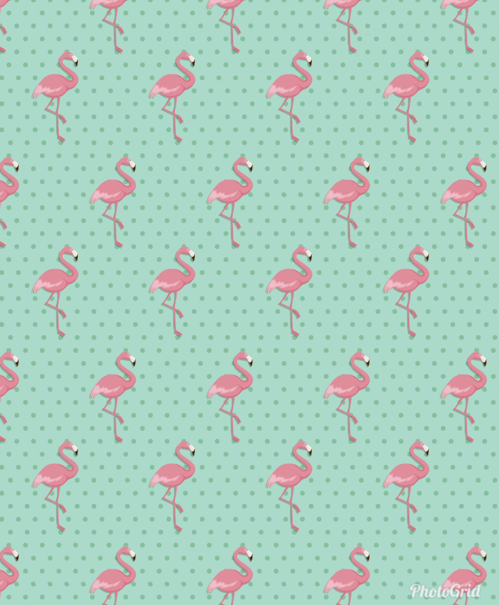 A close up of a pattern of pink flamingos on a green background (bird, flamingos, pattern, rosa)