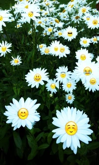 emoji, émoticône, fleur, smileys