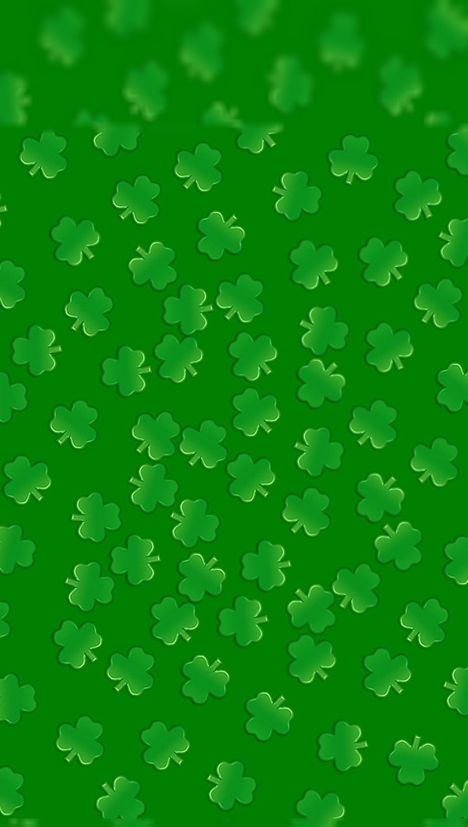 A close up of a bunch of green shamrock leaves (gold, green, ireland, patrick, pot)