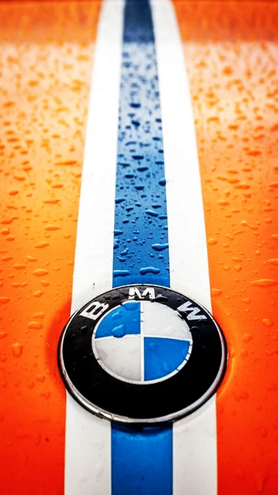 bmw, logotipo, lluvia