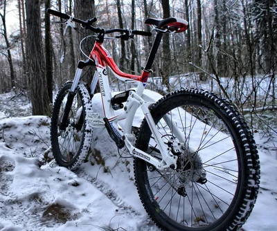 VTT sur un sentier forestier enneigé