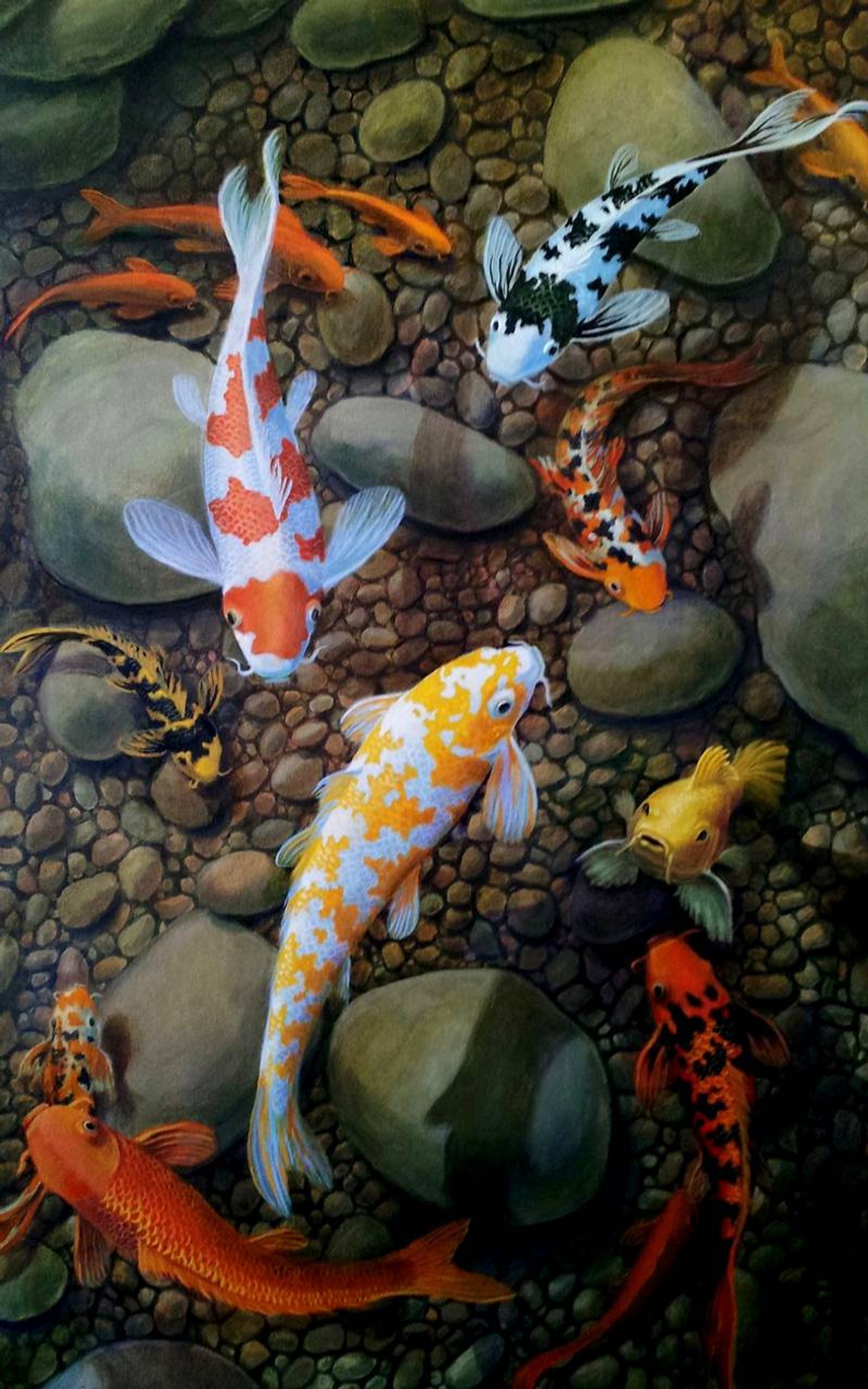 Pintura de um grupo de peixes koi nadando em um lago (peixe, koa)