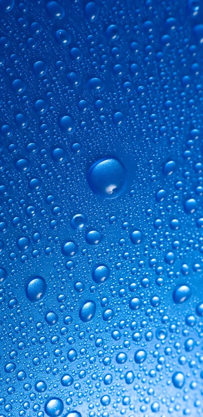 azul, gota, gotas, naturaleza, lluvia