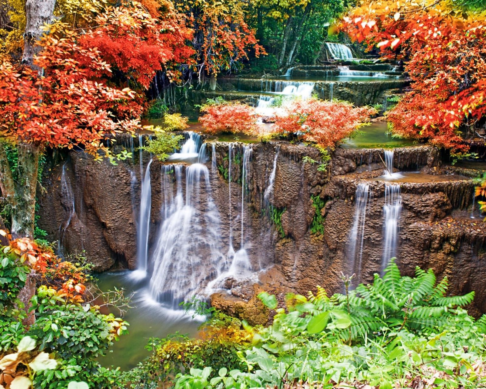 Un primer plano de una cascada en un bosque con muchos árboles (otoño, bosque, paisaje, hojas, naturaleza)