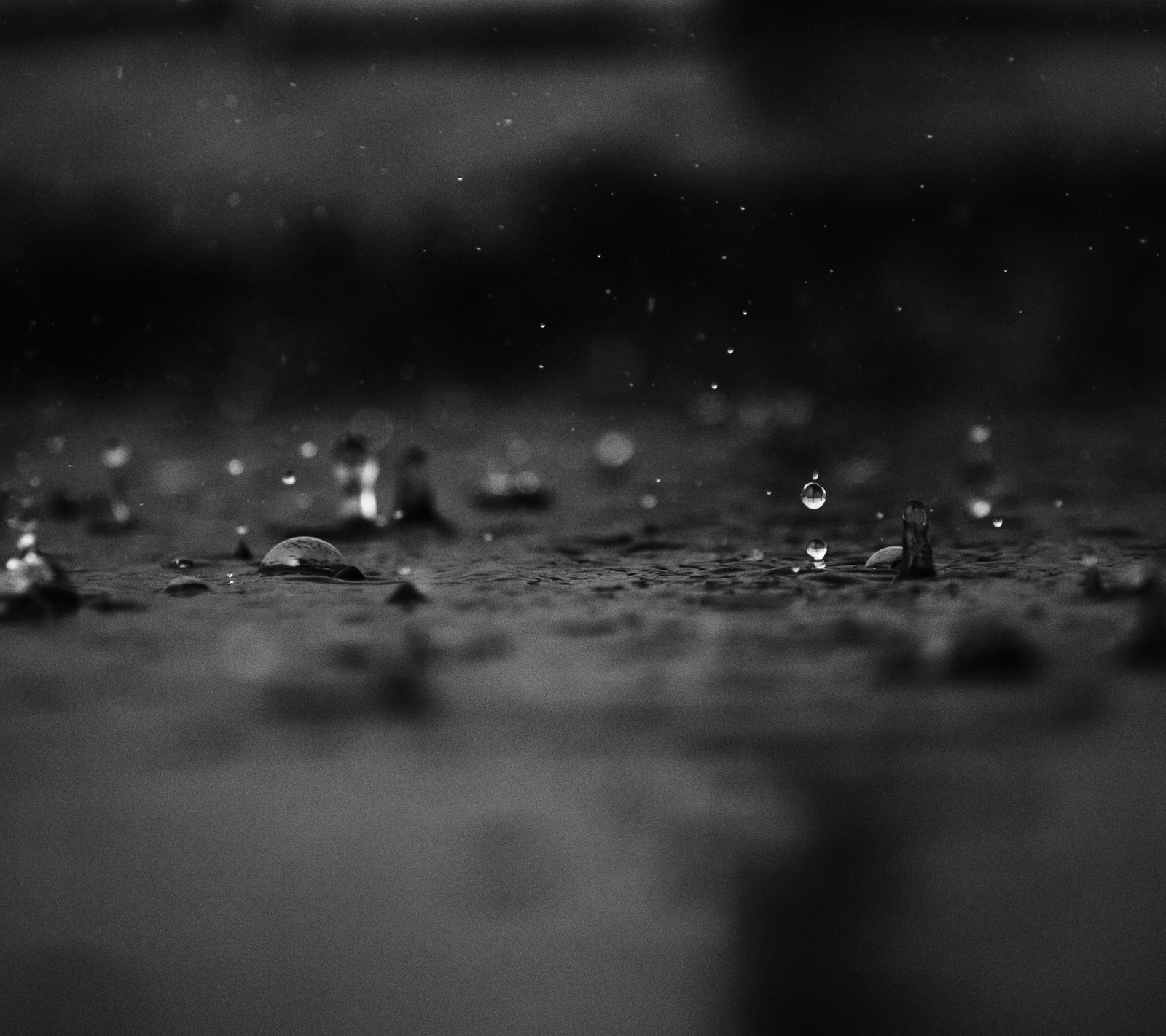 A close up of a black and white photo of a puddle of water (black, dark, ground, nature, rain)