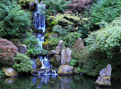 Cascada tranquila rodeada de exuberante vegetación