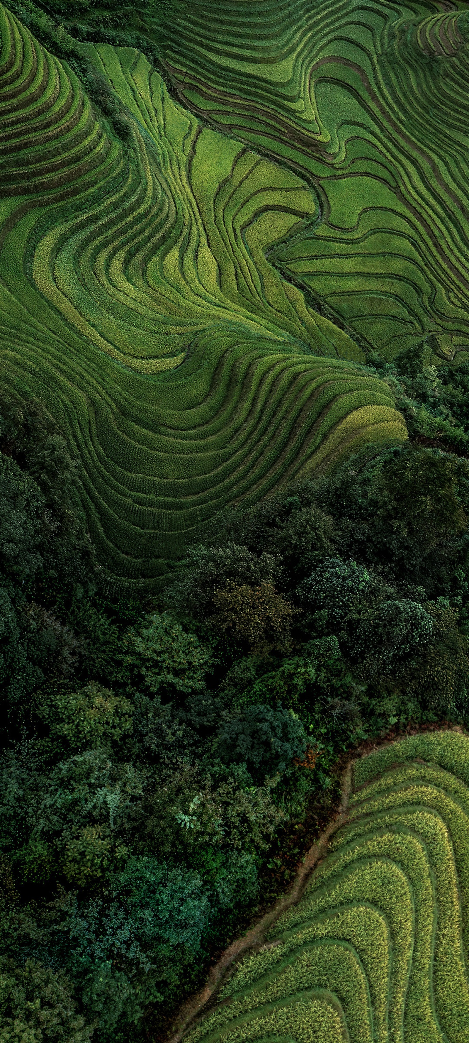 Vue d'un champ vert avec une petite maison au milieu (12, miui, redmi)