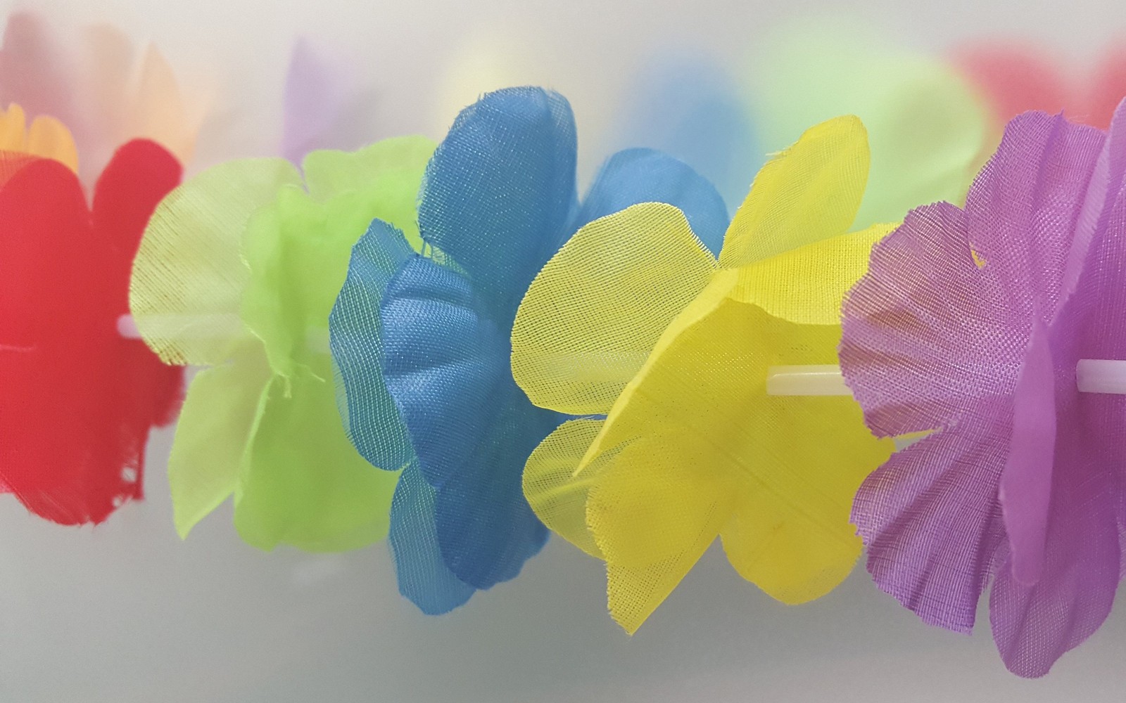 Des fleurs colorées suspendues à une corde sur un fond blanc (hawaï, fête, jaune, pétale, fleur)