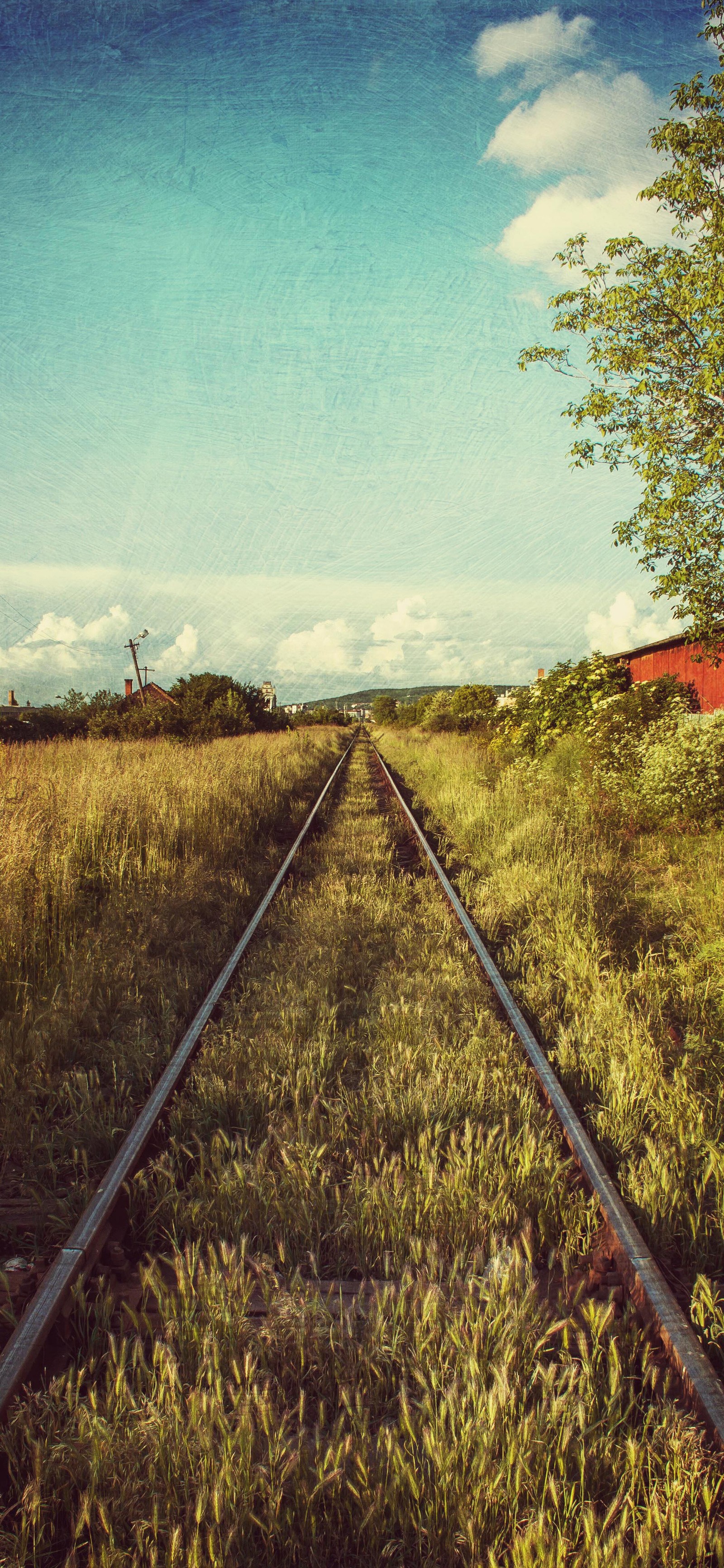 Hay una vía de tren que atraviesa un campo (pista, transporte ferroviario, pasto, nube, azul cielo)