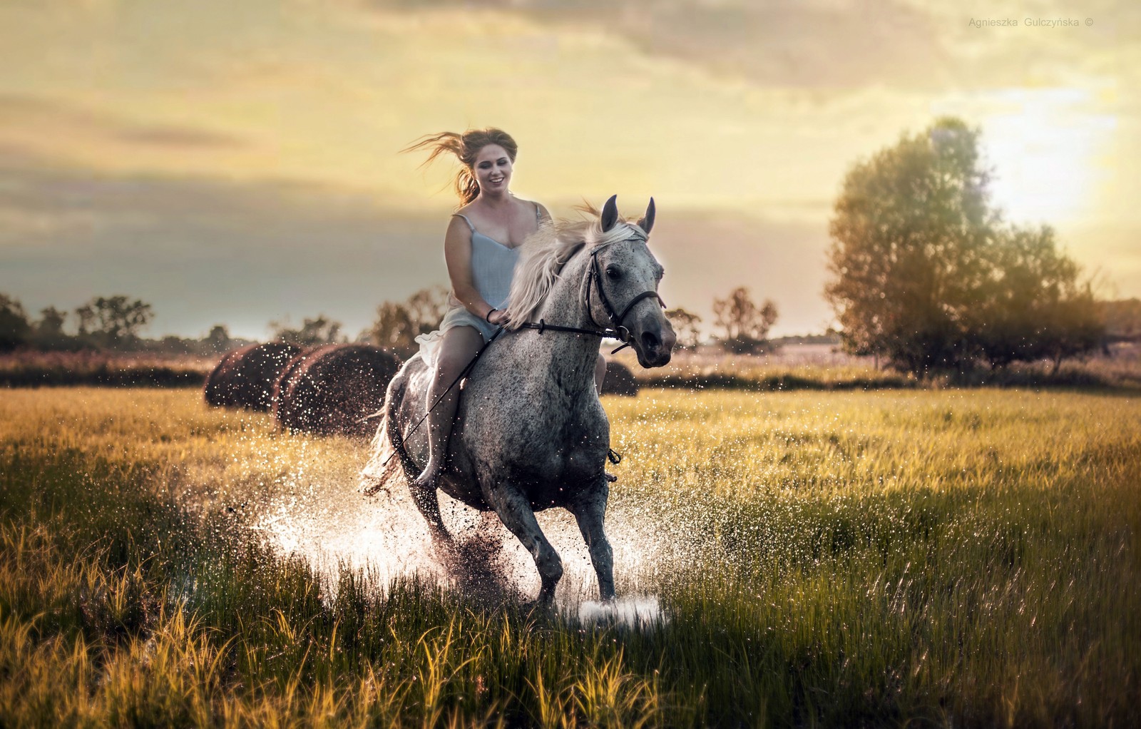 Eine frau reitet auf einem pferd durch ein feld (pferd, reiten, zaumzeug, grasland, weide)