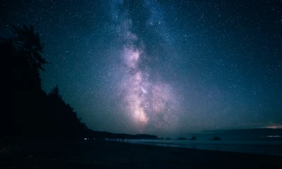 Une vue à couper le souffle de la Voie lactée illuminant le ciel nocturne au-dessus d'une plage sereine, entourée de silhouettes d'arbres à l'horizon.